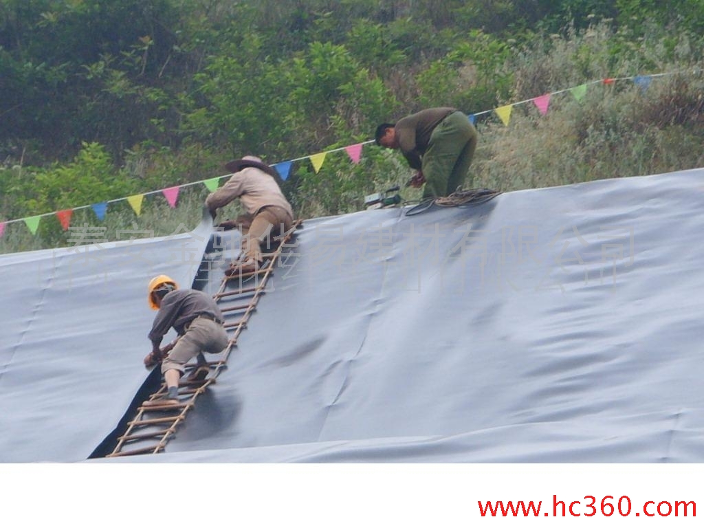莲藕池专用膜防水橡胶布价格_南阳莲藕池专用